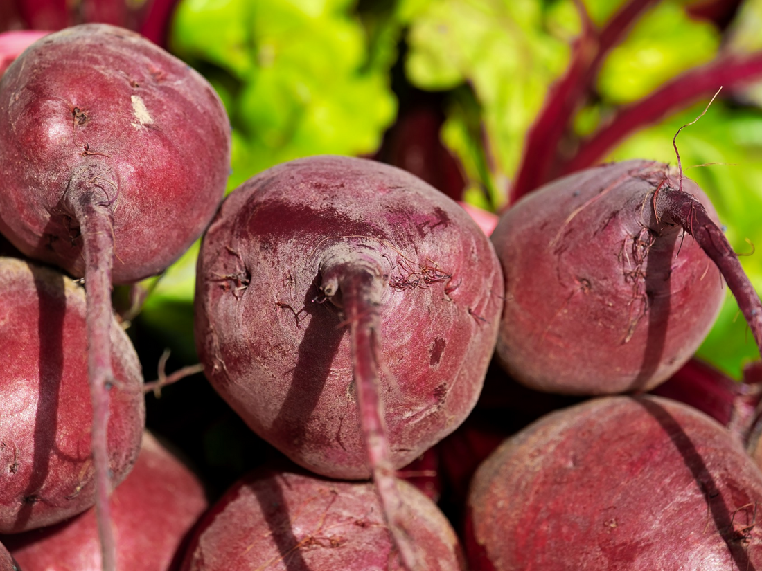 BARBABIETOLA ROSSA: PROPRIETÀ, BENEFICI E RICETTE