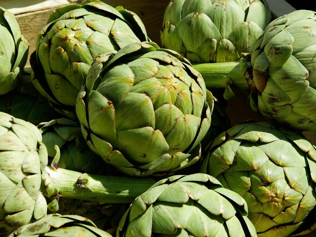 Carciofi: proprietà, benefici e ricette