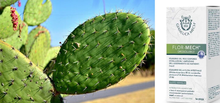 NOPAL: una bomba di energia e benessere
