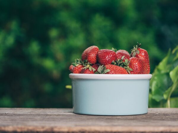 FRAGOLE: PERIODO, BENEFICI, PROPRIETA’, RICETTE