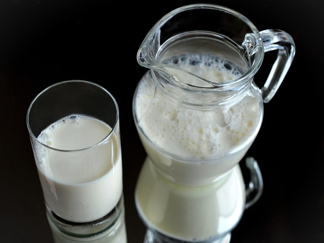 Latte, fa male o bene? Scopriamo anche una ricetta!
