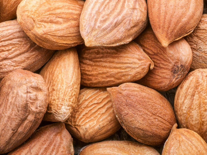 Mandorle: proprietà, valori nutrizionali e ricette