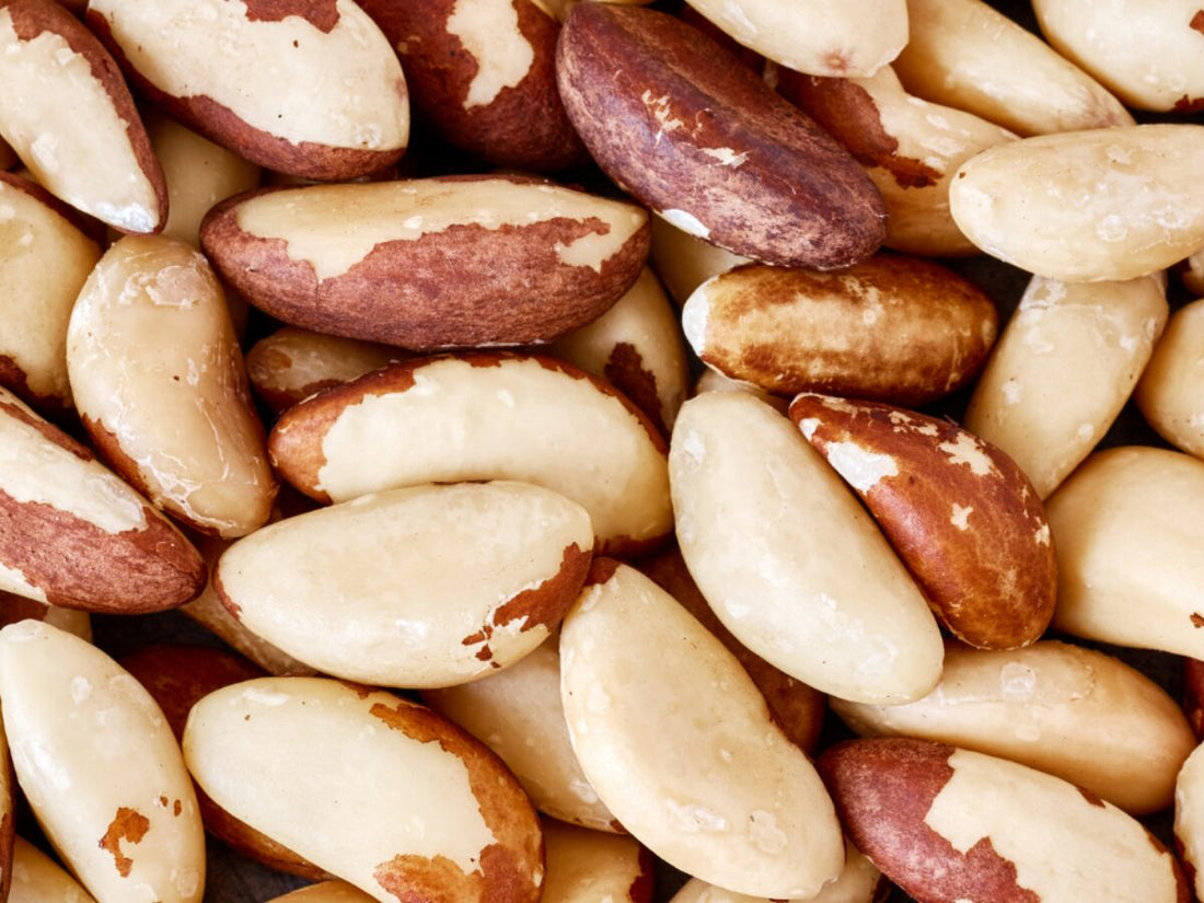 Noci del Brasile: benefici, proprietà e quante mangiarne al giorno (senza rinunciare al gusto)