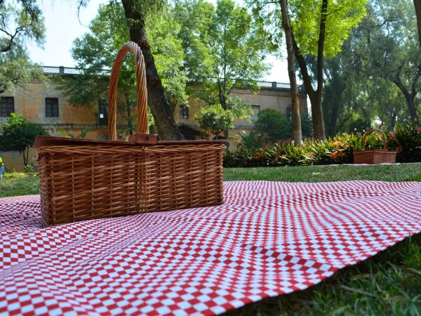 Pic-nic: idee, ricette e consigli per organizzare un pic-nic perfetto