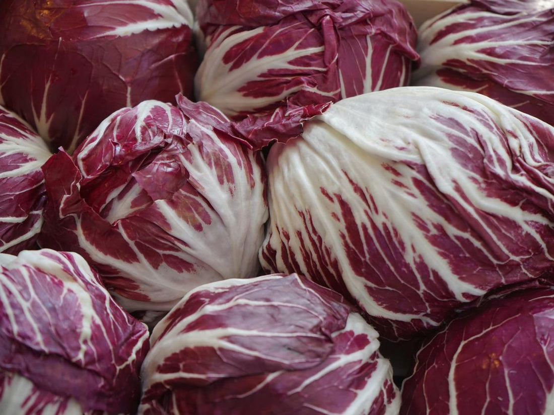 RADICCHIO ROSSO: RICETTE, PROPRIETÀ E VALORI NUTRIZIONALI