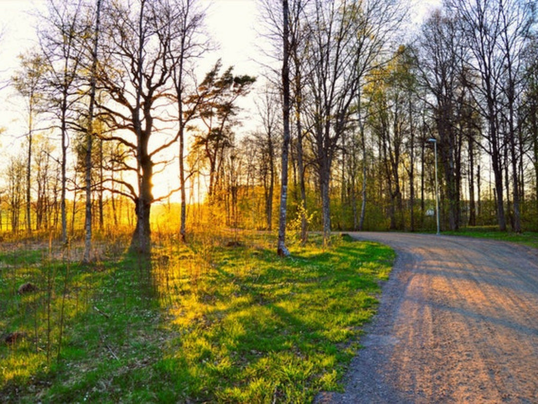 CAMBIO DI STAGIONE: ECCO GLI EFFETTI E COME AFFRONTARLO