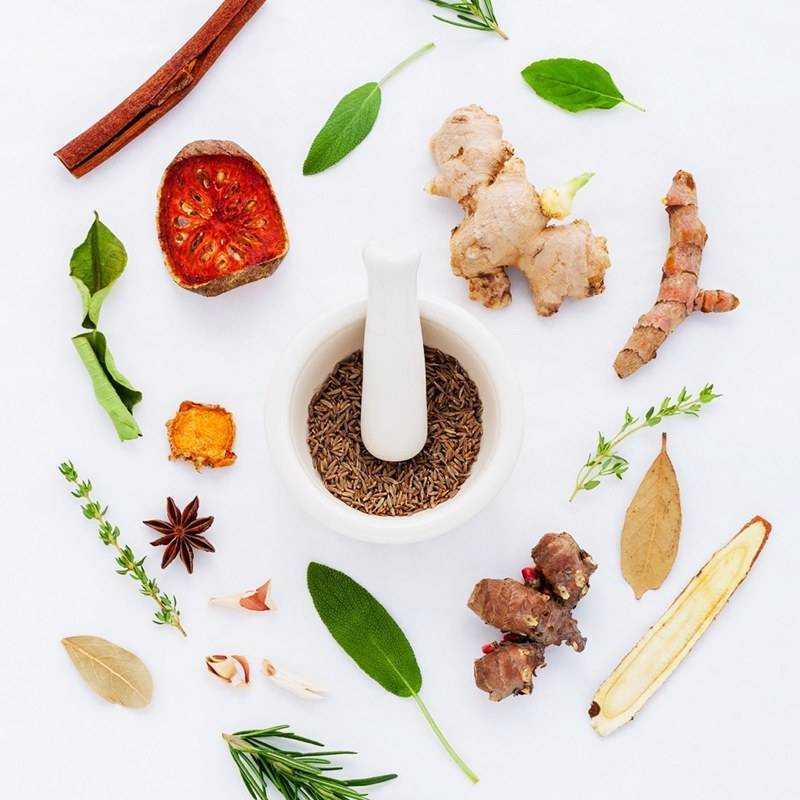 Migliorare il nostro benessere con i fitoestratti Tisanoreica