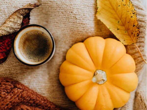 Ricette con la zucca: 7 idee facili e gustose per cucinare la zucca