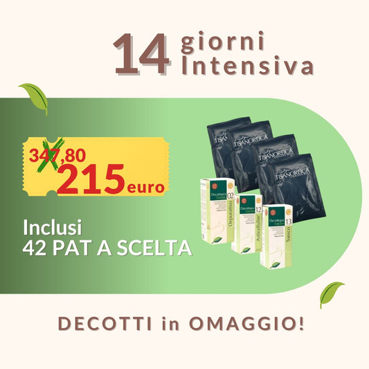 Tisanoreica Intensiva Personalizzata - 42 Pat gusti a scelta e Decotti (Promozione 2 Settimane)